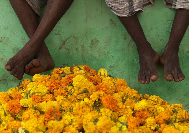 Hindu Culture - flowers for puja